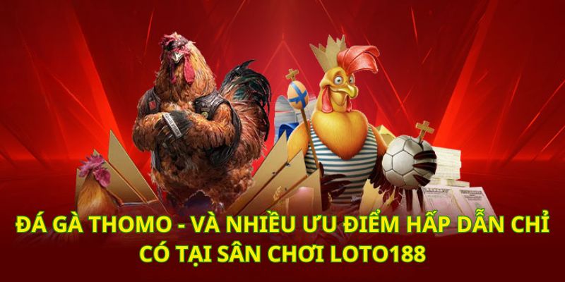 Tham gia giải trí Thomo mỗi ngày tại nền tảng cá cược của Loto188