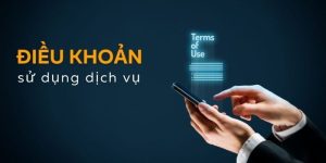 Điều khoản sử dụng